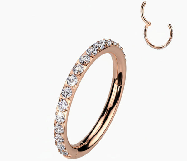 Titanium Hinged Segment Hoop Rings CNC Set CZ Paved