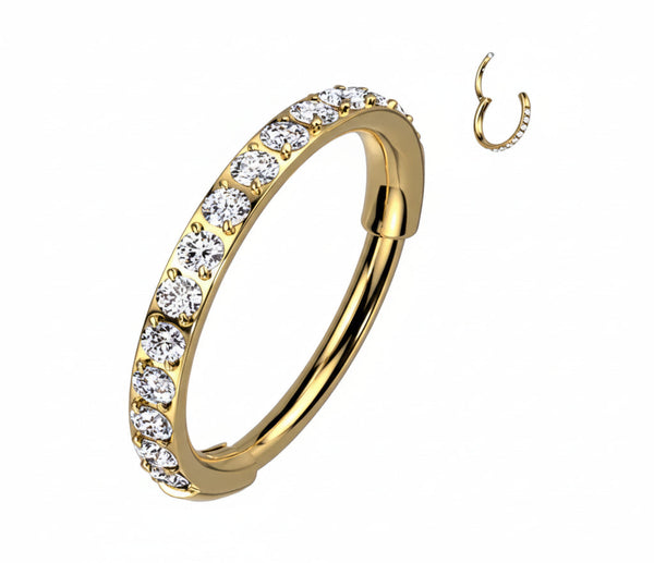 Titanium Hinged Segment Hoop Rings CNC Set CZ Paved